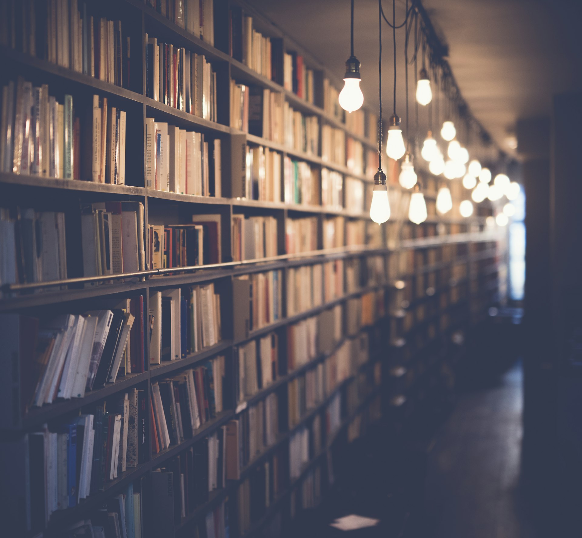 Ambiance livres et reliures à la librairie